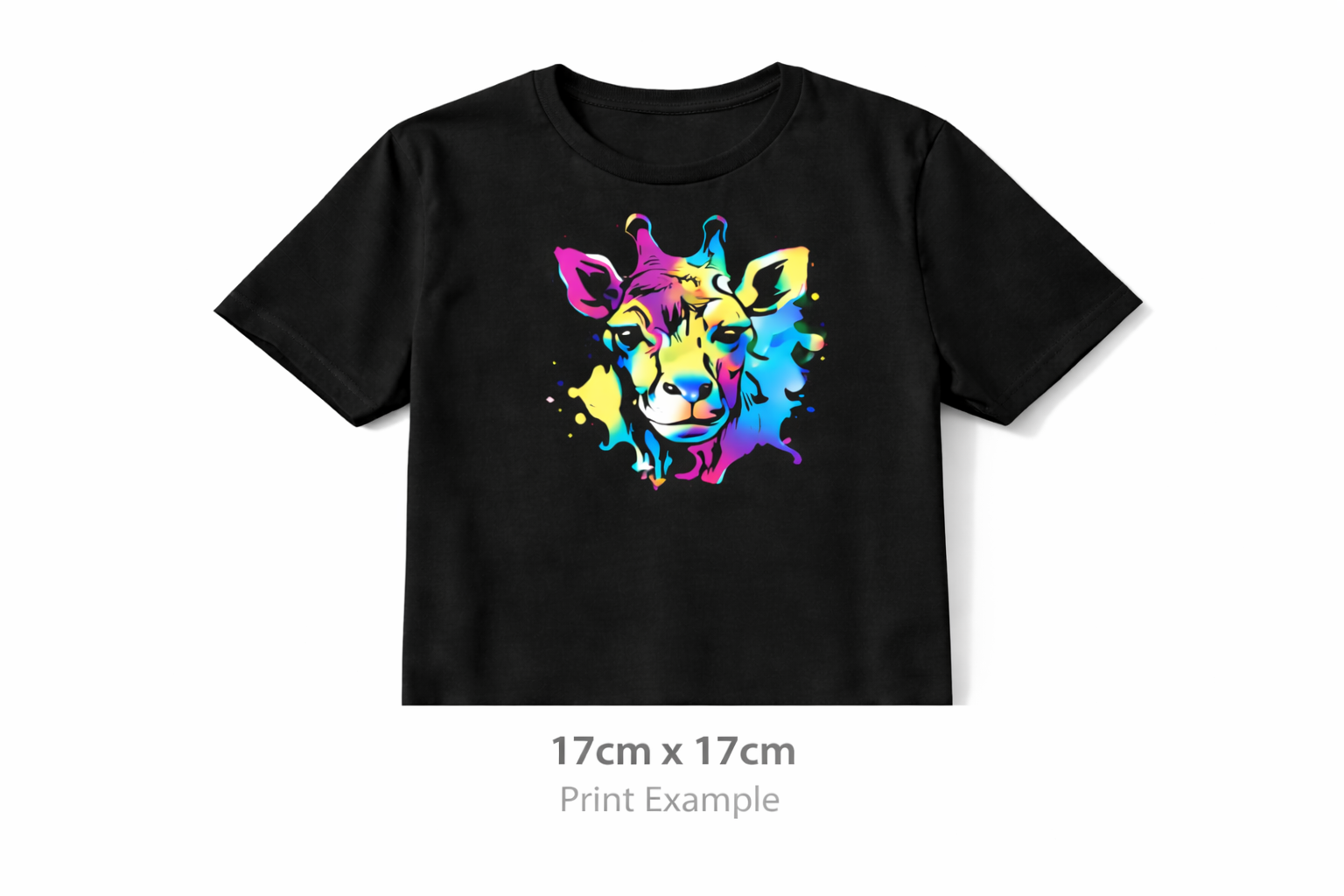 17×17 cm DTF Transfer — larger square transfers